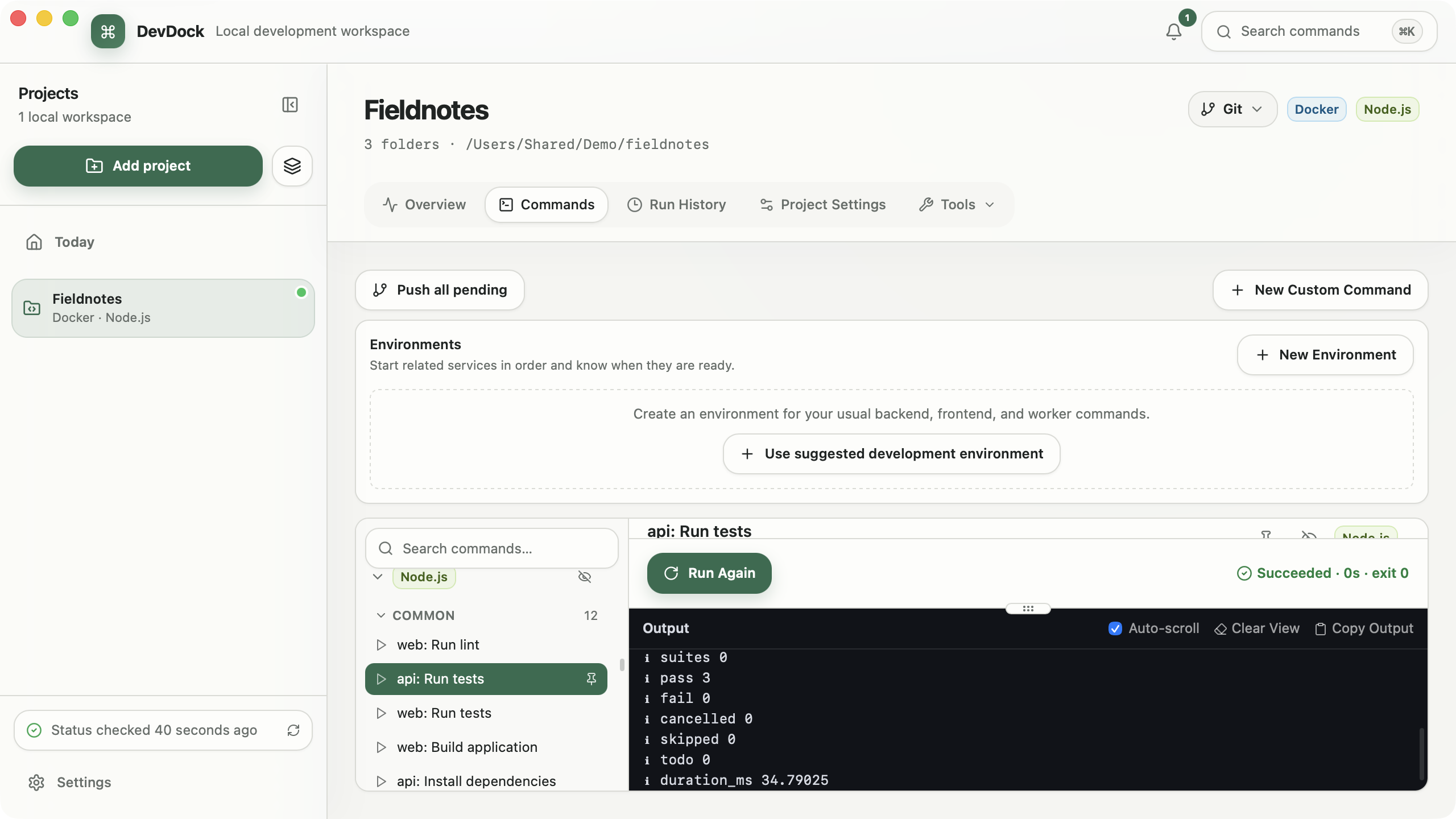 DevDock command workspace showing a detected development command and its output area