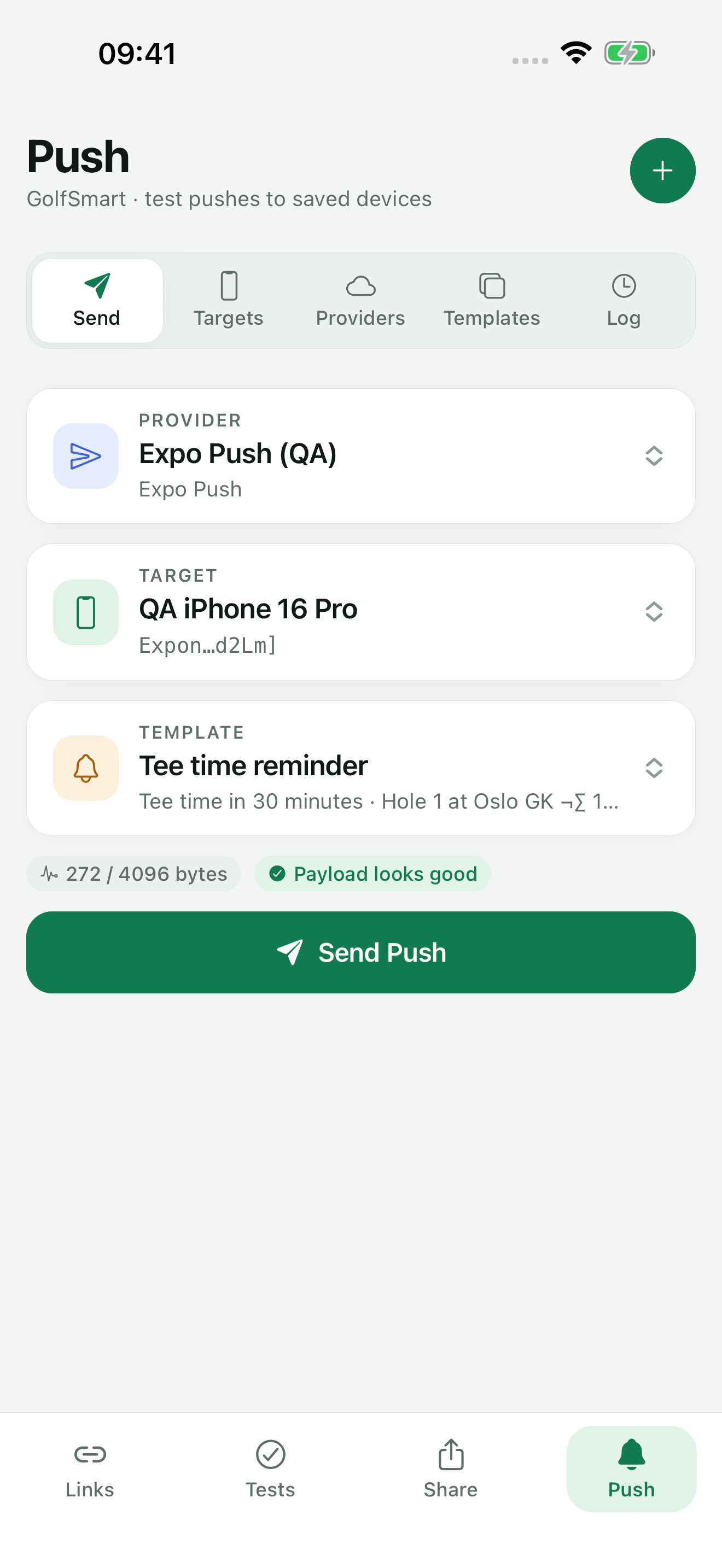 TestDock Push tab with payload size check